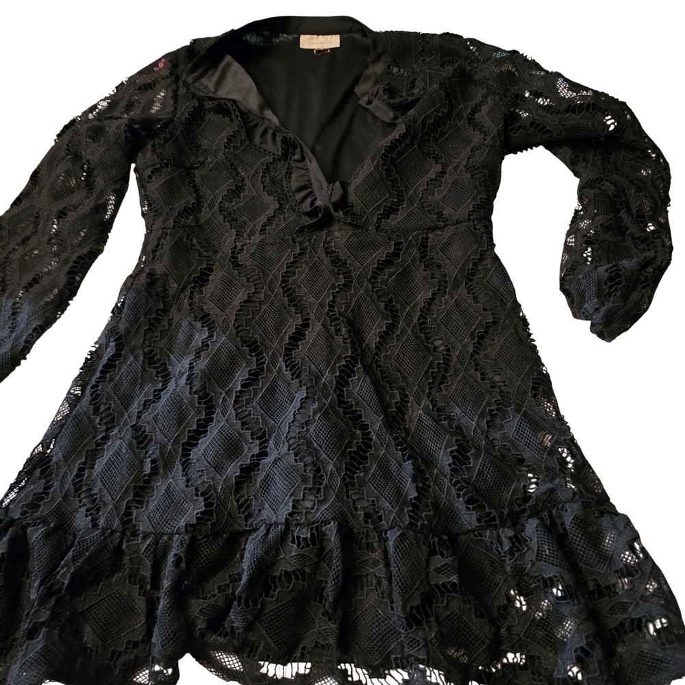 Melloday Black Lace Ruffle V-Neck Long Sleeve Mini Dress Large